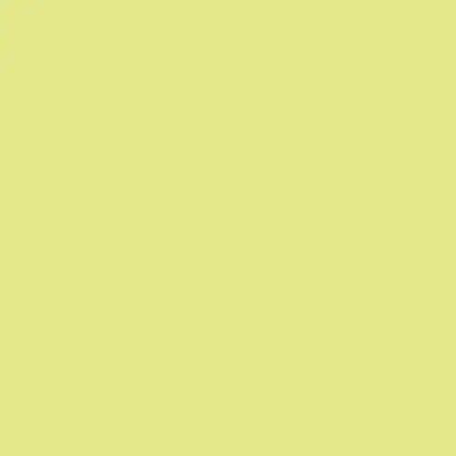 Madeira Polyneon 1867 Fluorescent Green Embroidery Thread 5500 Yards-1867