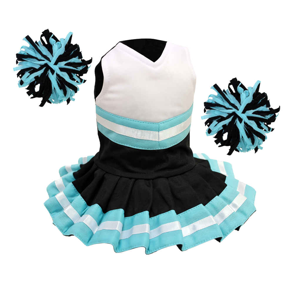 Cheerleader Outfit