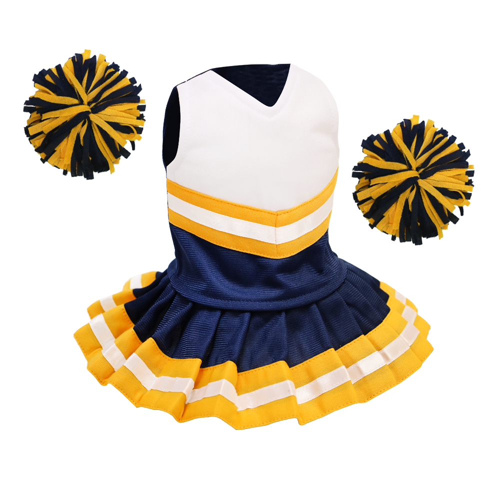 Cheerleader Outfit