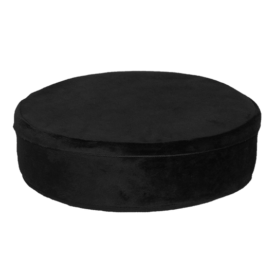 Hockey Puck Buddy