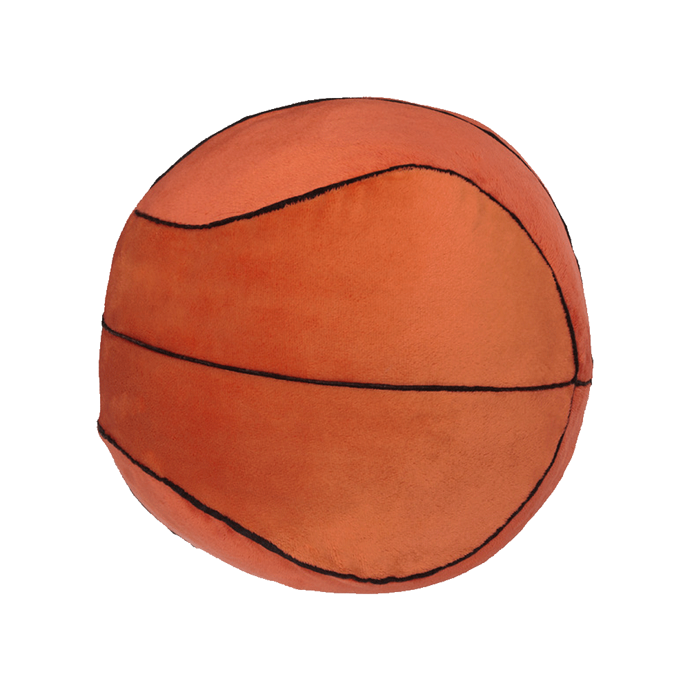 Basketball Buddy