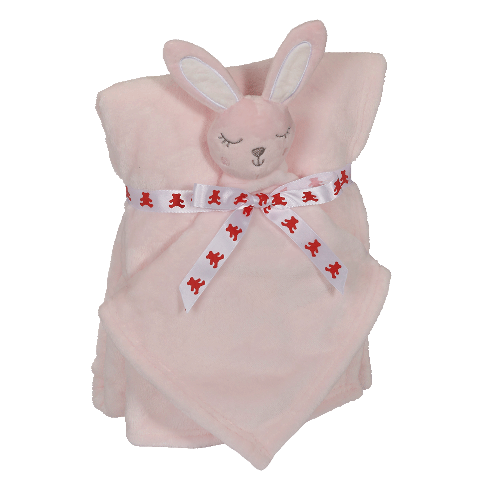 Bunny Blankey Buddy Set