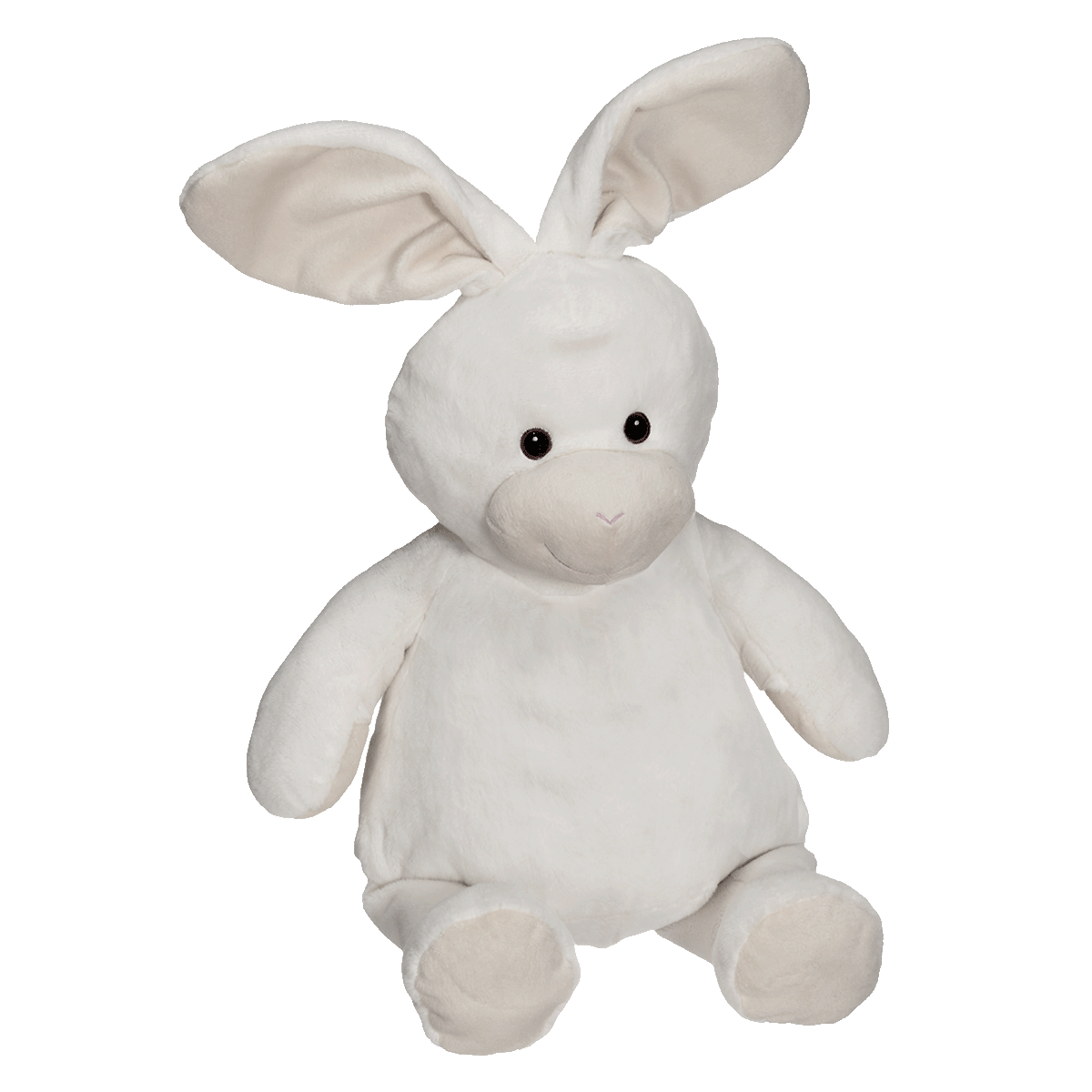 Buddy Bunny