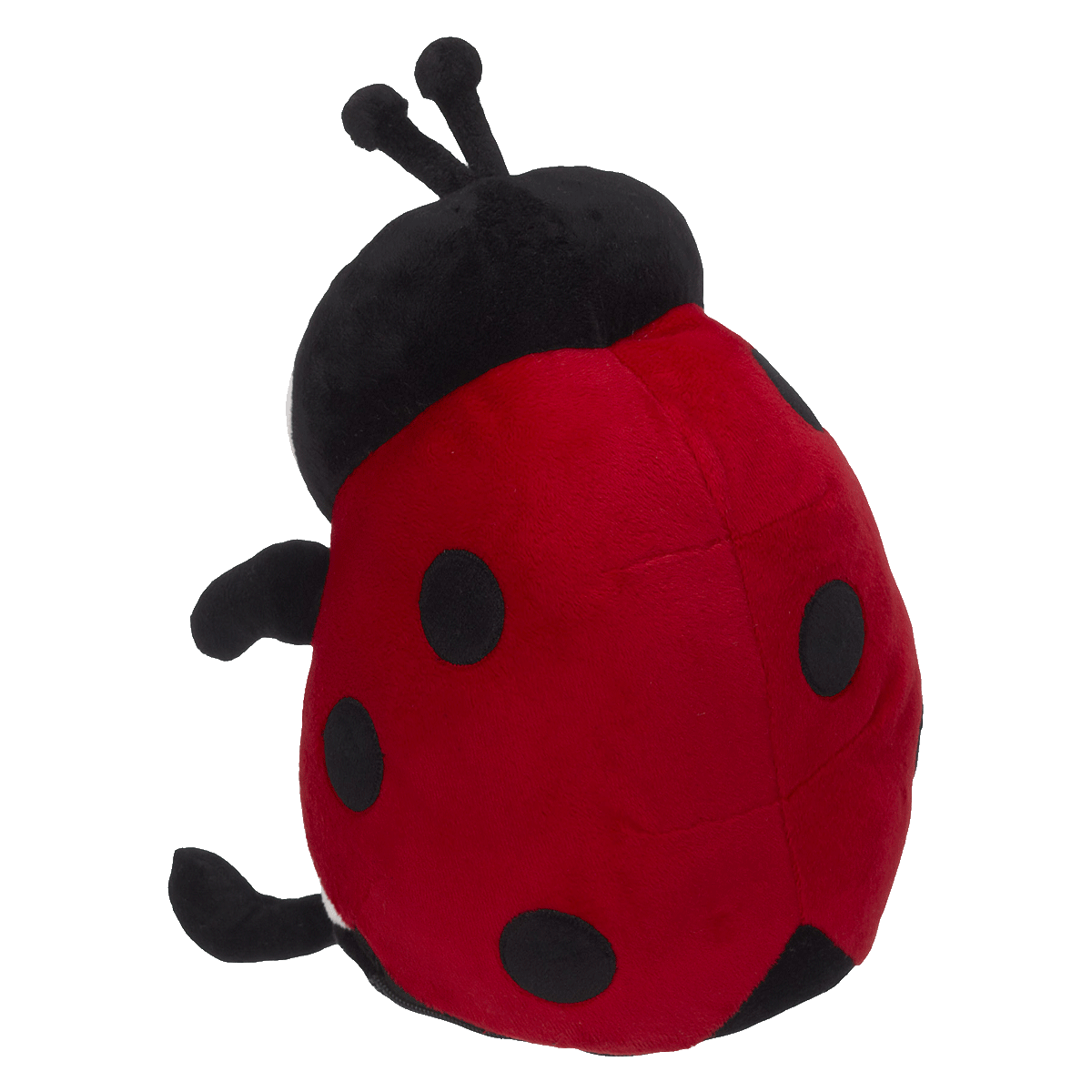 Landy LadyBug Buddy