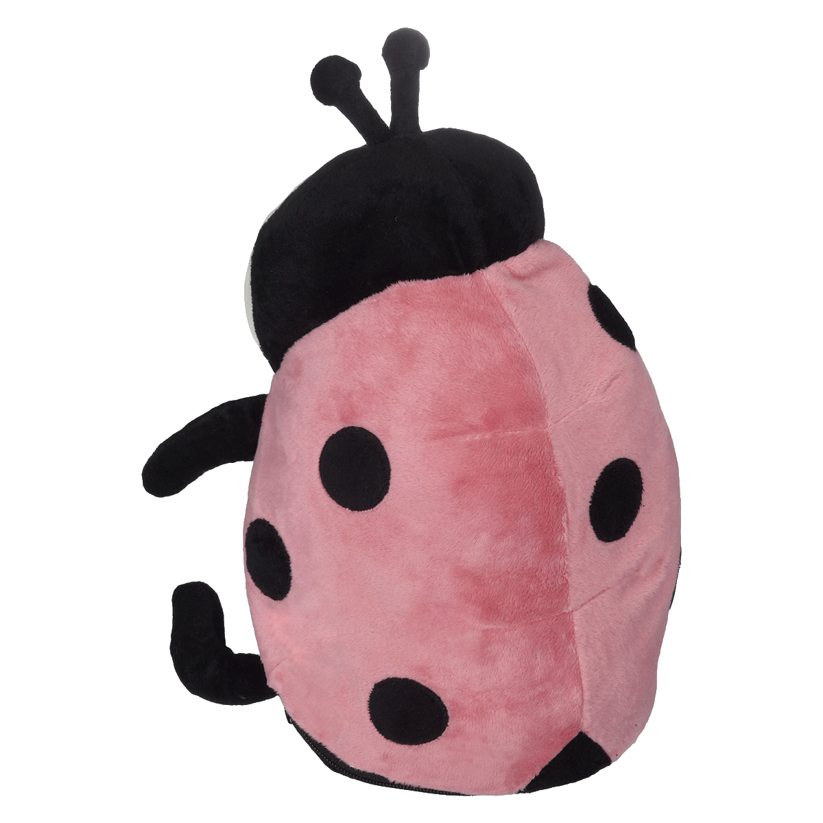 Landy LadyBug Buddy