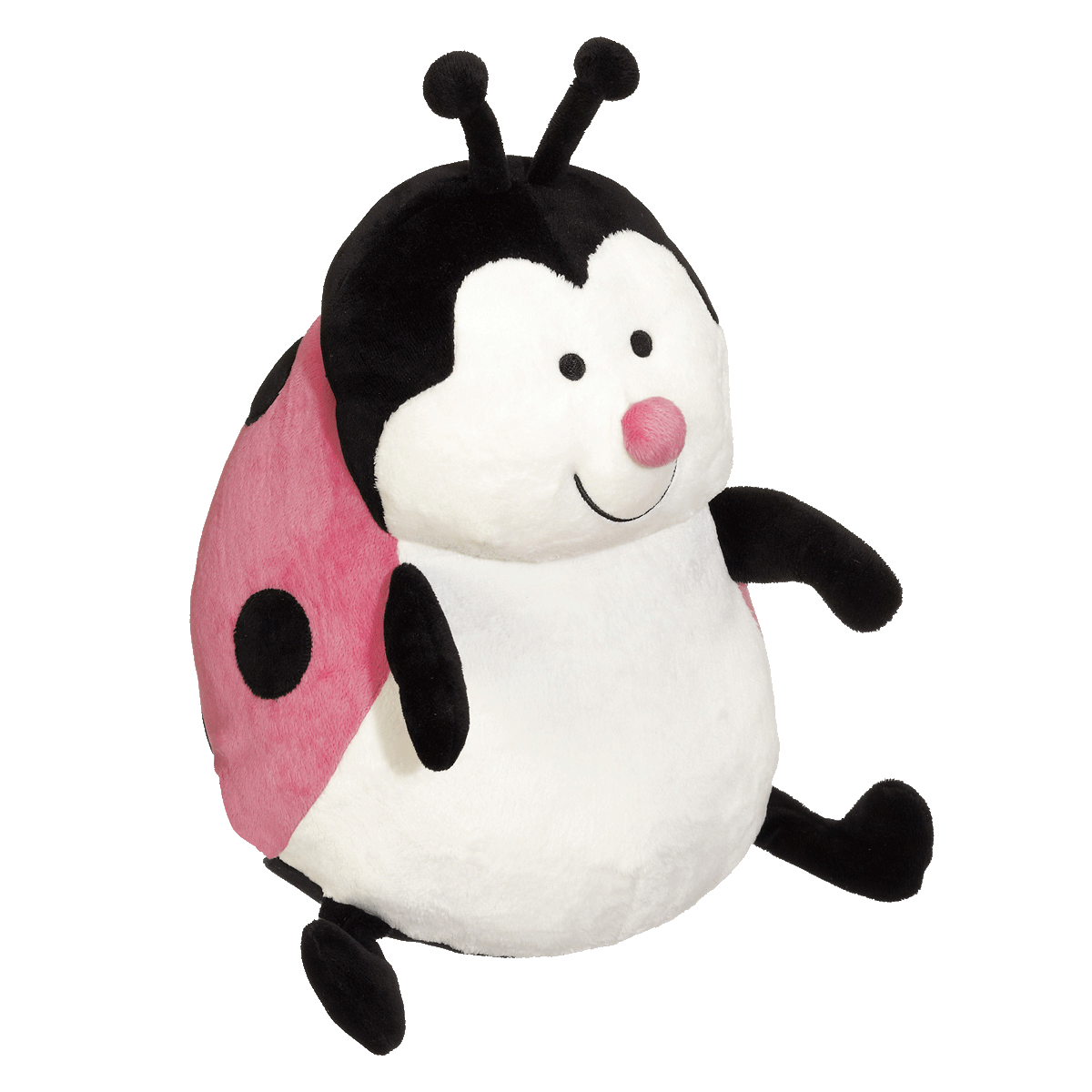 Landy LadyBug Buddy