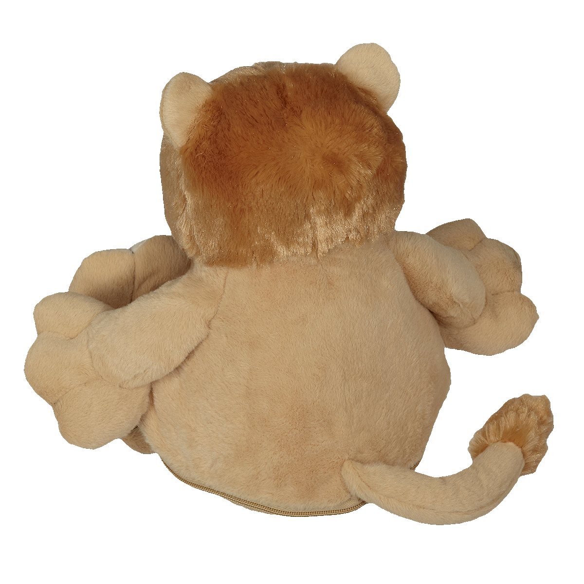 Rory Lion Buddy