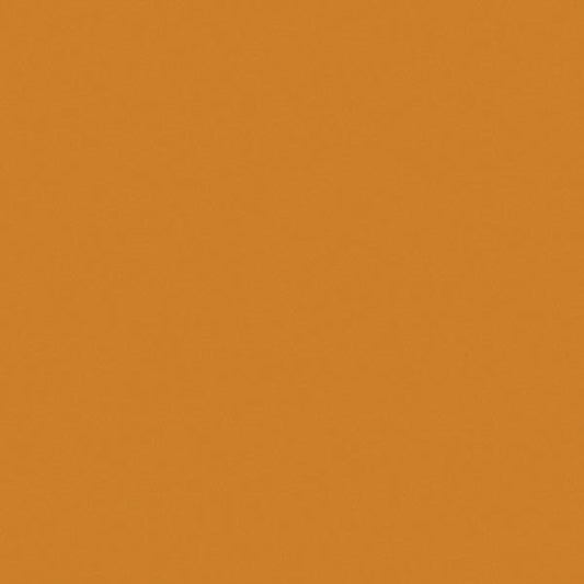 Madeira Rayon 1425 Pumpkin Spice Embroidery Thread 5500 Yards