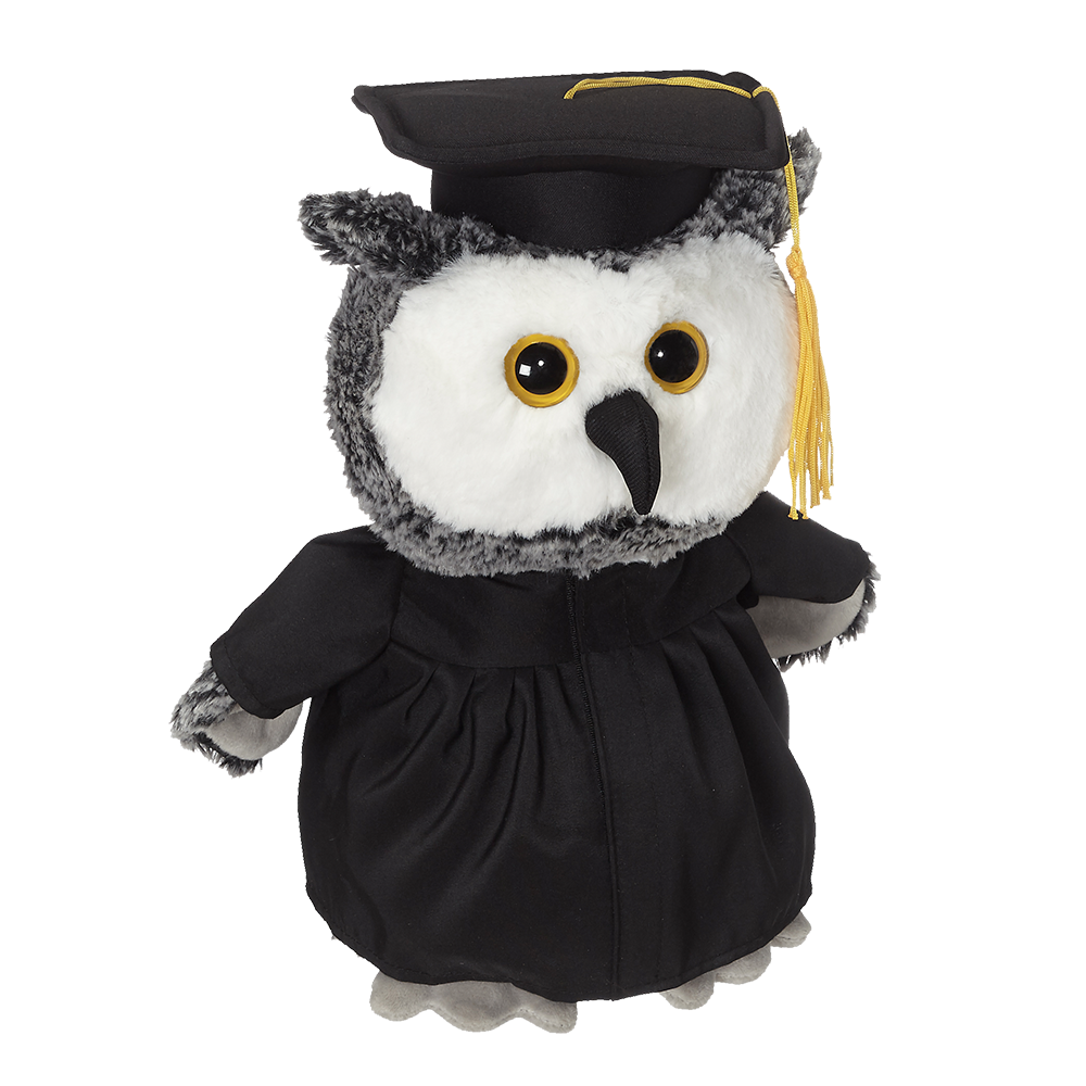 Owl Grad