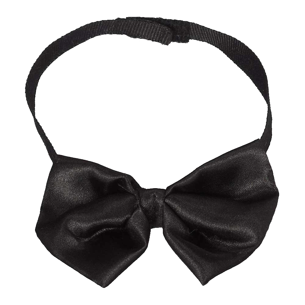 Bow tie