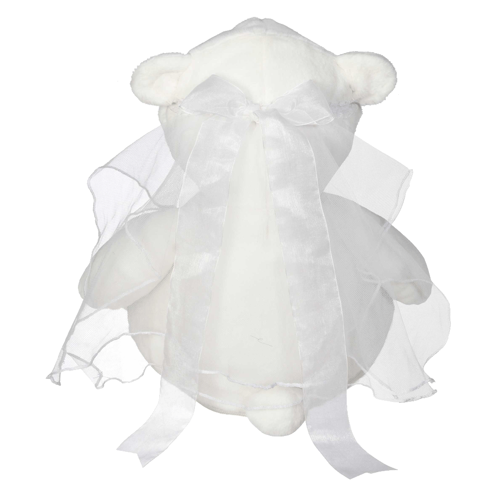 Bridal Veil