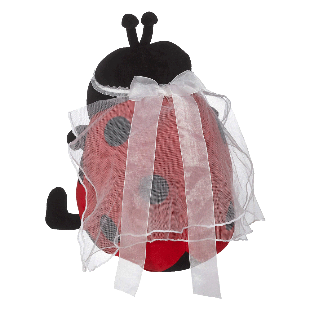 Bridal Veil
